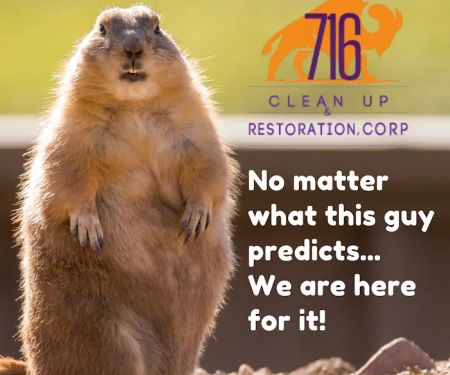 716 Clean Up & Restoration