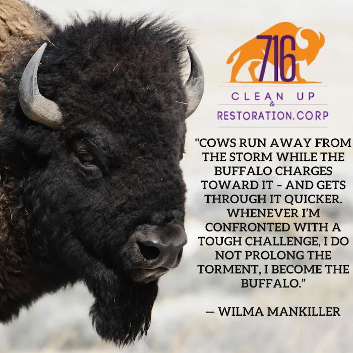 716 Clean Up & Restoration Picture 7