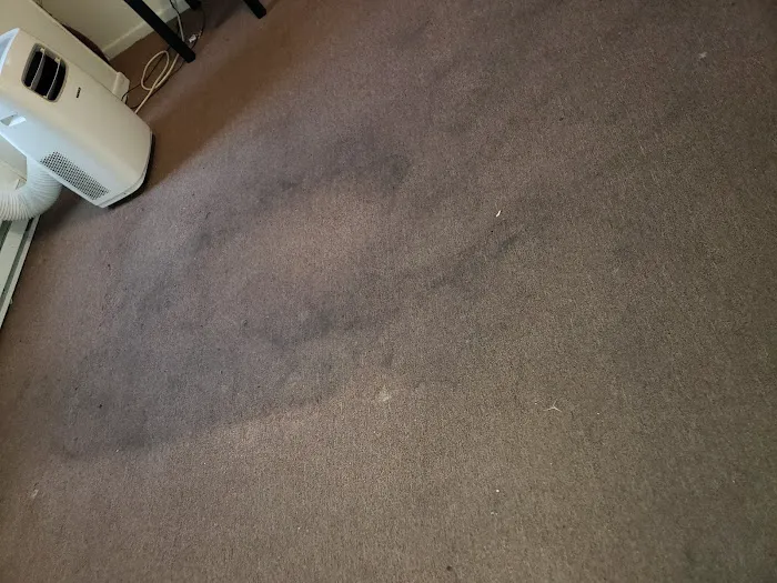 Prestige Carpet Cleaning and Restoration Picture 6