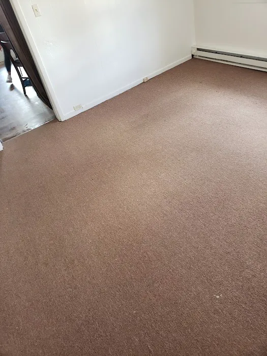 Prestige Carpet Cleaning and Restoration Picture 5