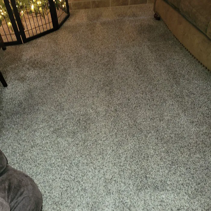 Prestige Carpet Cleaning and Restoration Picture 8