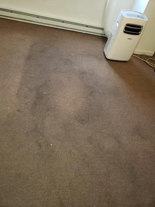 Prestige Carpet Cleaning and Restoration Picture 4