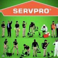 Allegany Maryland Servpro ico