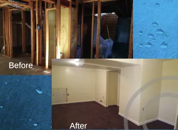 Emergency Water and Mold Removal Picture 5