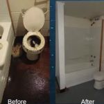 Emergency Water and Mold Removal