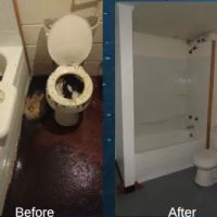 Emergency Water and Mold Removal ico