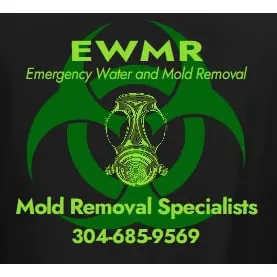 Emergency Water and Mold Removal Picture 2