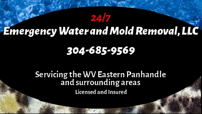 Emergency Water and Mold Removal Picture 3