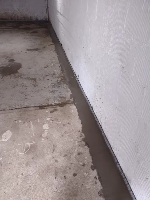 Bracken waterproofing Picture 3