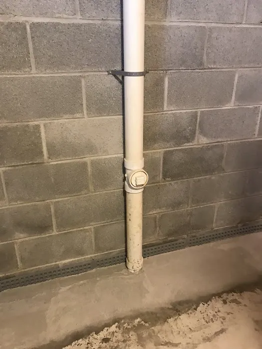 Bracken waterproofing Picture 7