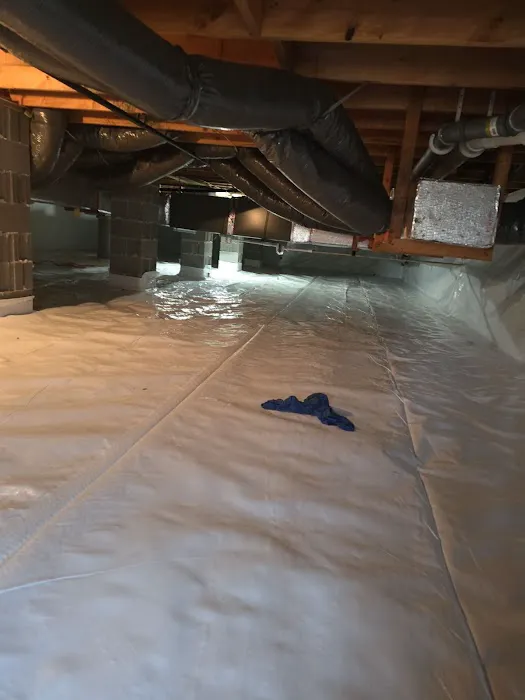 Bracken waterproofing Picture 9