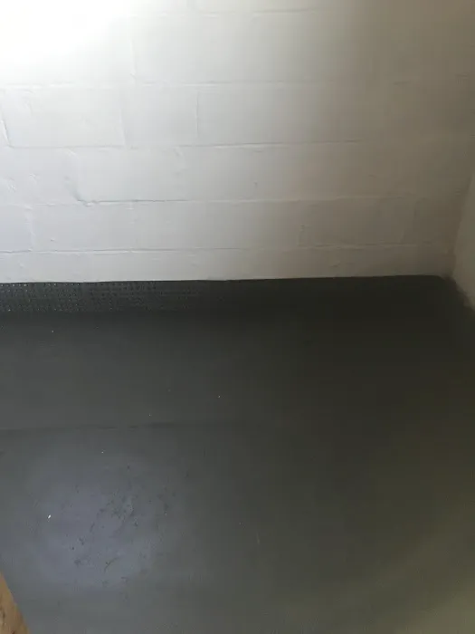 Bracken waterproofing Picture 8