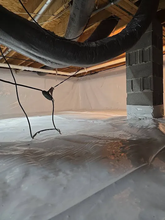 Bracken waterproofing Picture 4