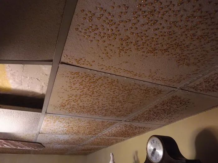 SERVPRO of Indiana County Picture 5