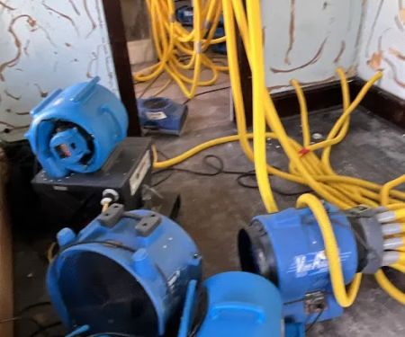 A-1 PRO Disaster Restoration