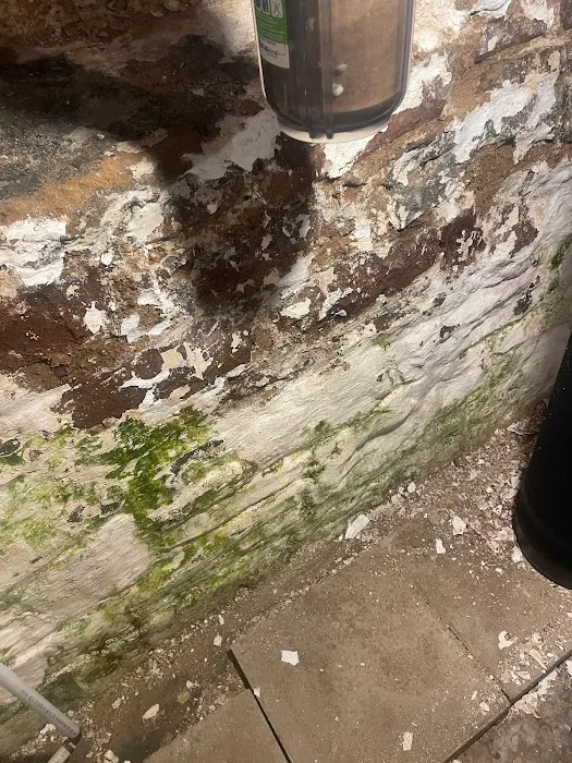 Raabe Restoration Picture 8