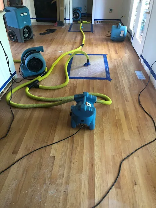 GearClean, Inc. Picture 5