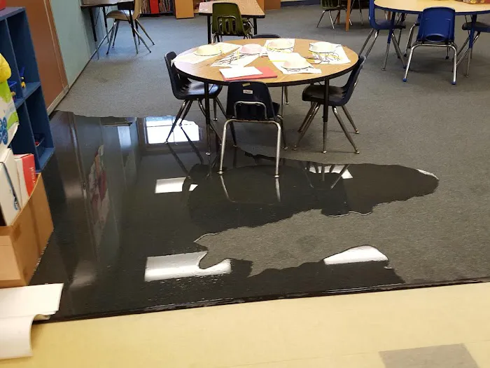 MasterDry, LLC Picture 3