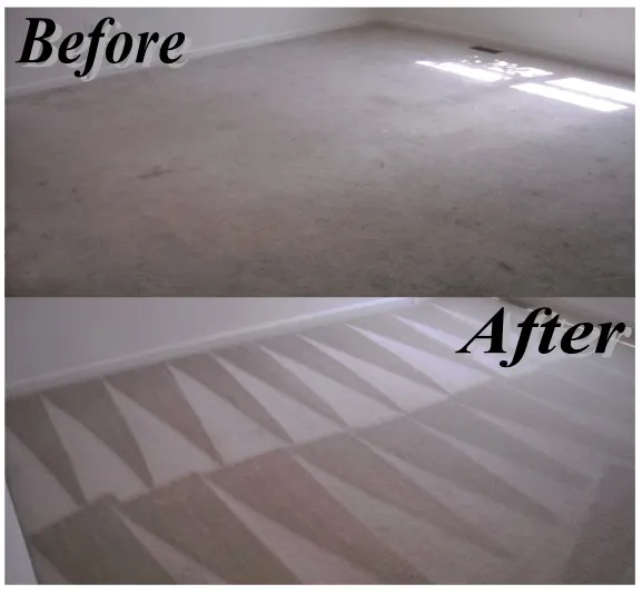 MasterDry, LLC Picture 2