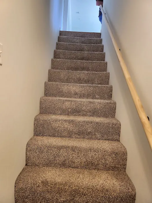 Stanley Steemer Picture 1