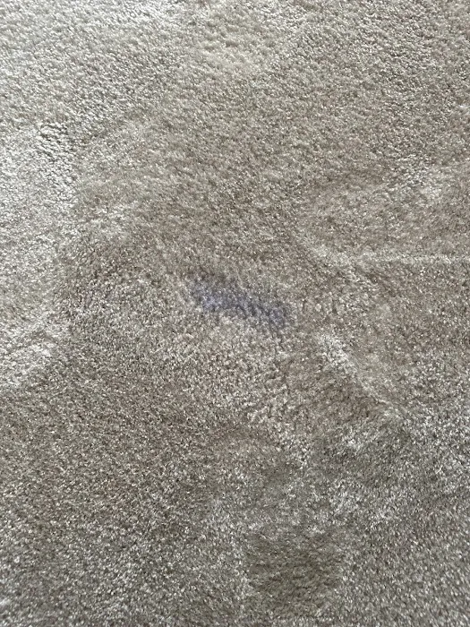 Stanley Steemer Picture 7