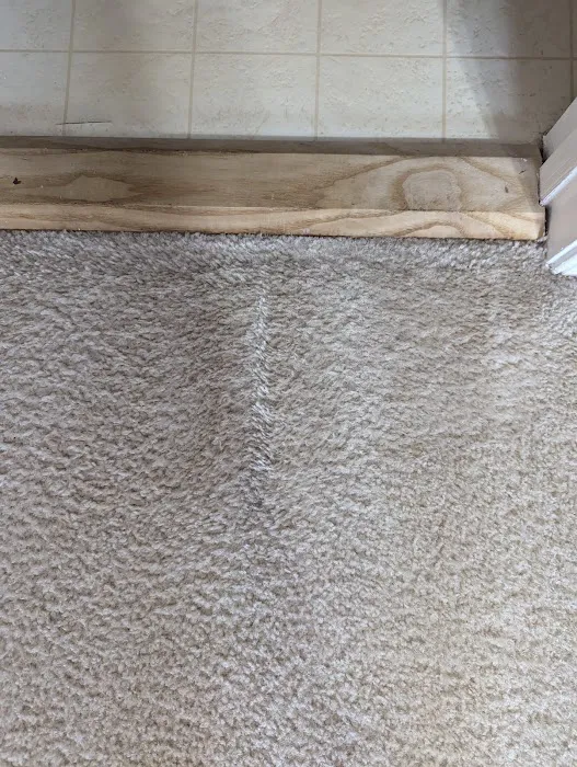 Stanley Steemer Picture 8