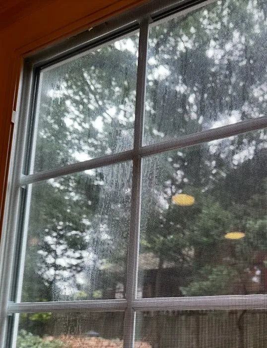 Merit Restorations Picture 5