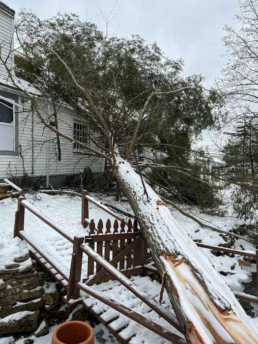 Mihalko's General Contracting & Insurance Restoration Picture 2