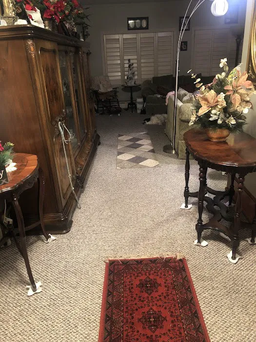 Stanley Steemer Picture 6