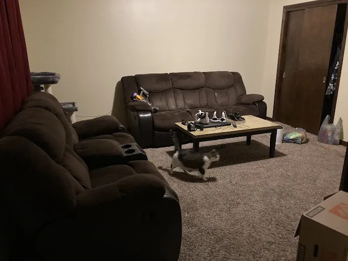 Stanley Steemer Picture 1