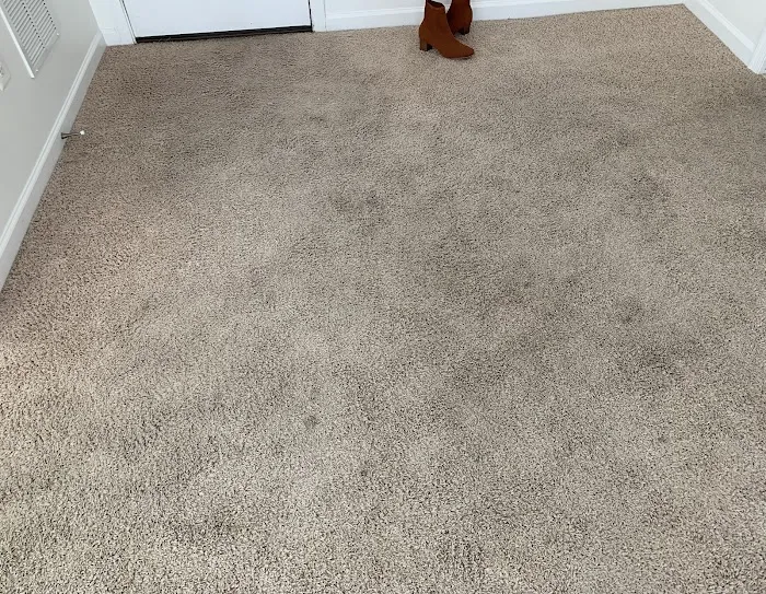 Heaven's Best Carpet Cleaning Winchester VA Picture 5