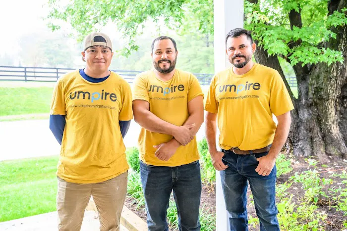 Umpire Mitigation Picture 6