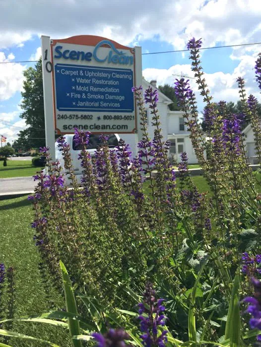 Scene Clean Picture 4