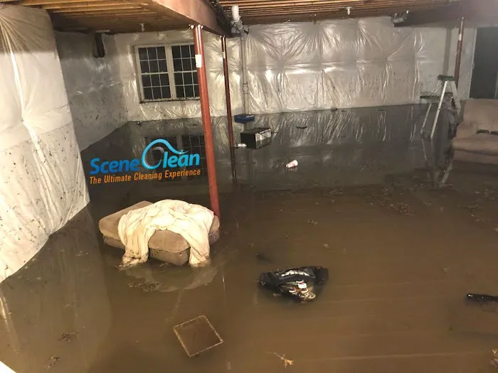 Scene Clean Picture 6