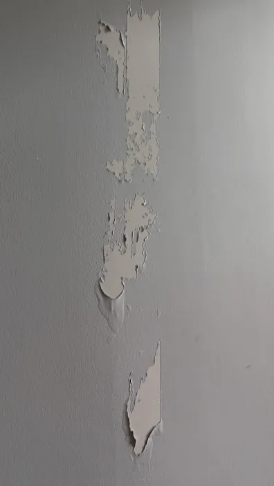 Applied Restoration Group Picture 1