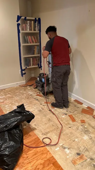 United Group of Sterling Picture 1