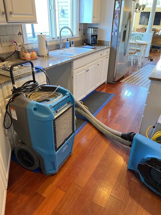 United Group of Sterling Picture 3