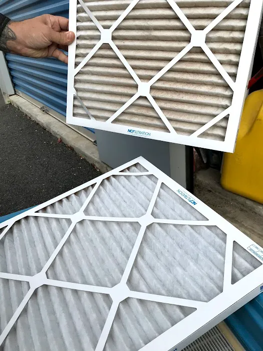 Mold Removal Services Picture 3