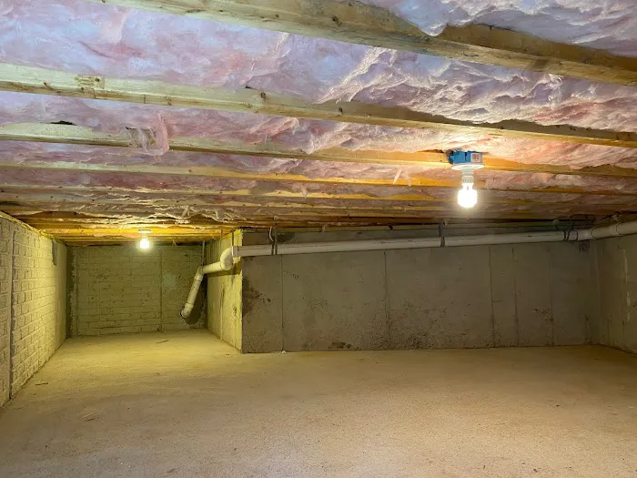 Mold Removal Services Picture 7