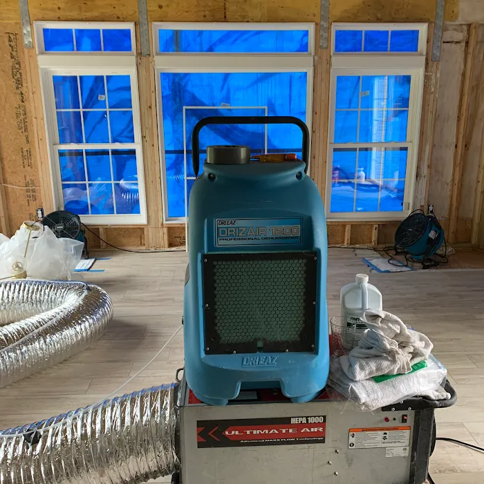 Mold Removal Services Picture 9