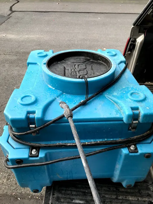 Mold Removal Services Picture 8