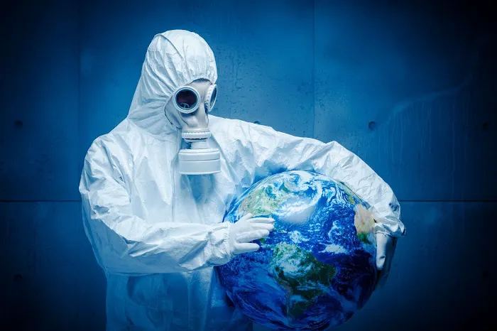 Mold Removal Services Picture 5