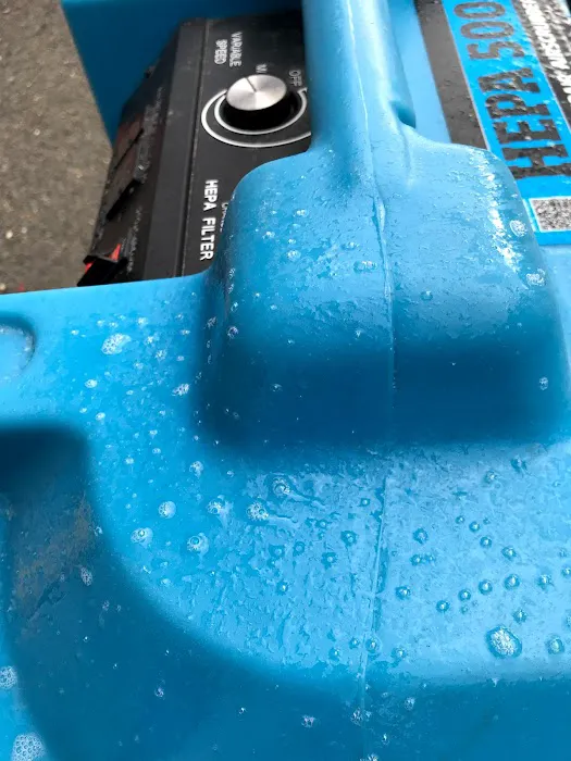 Mold Removal Services Picture 2