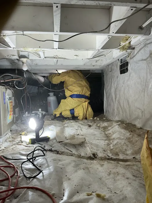 Exceptional Restoration Services Picture 7