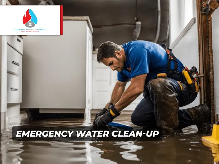 Exceptional Restoration Services Picture 9