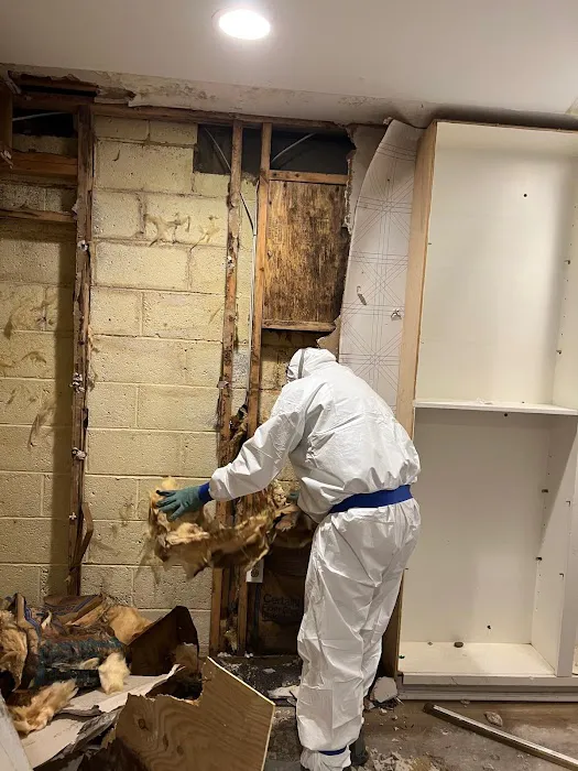 Exceptional Restoration Services Picture 3