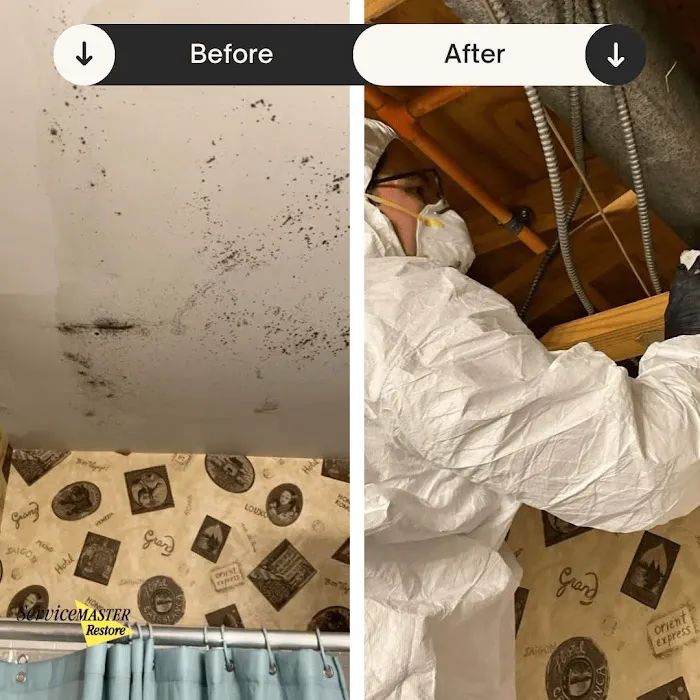 ServiceMaster Restoration of Howard & Prince George's Counties Picture 10