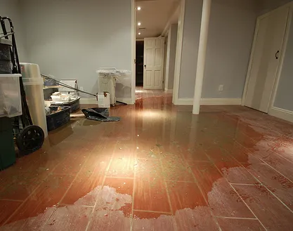 Mid-Maryland Cleaning Picture 9