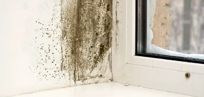 Mid-Maryland Cleaning Picture 2