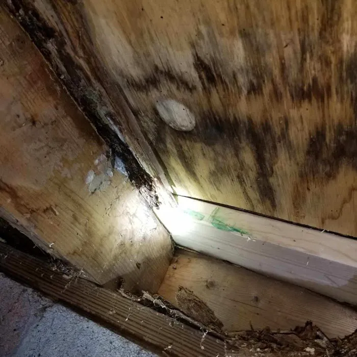 Mid-Maryland Cleaning Picture 7